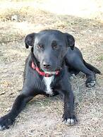 Auberge du Tranchoir