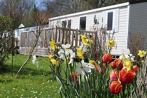 Flower Camping Le Rompval