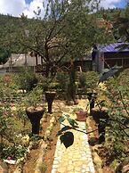 Homestay Vuon Hong Co