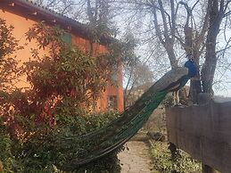 Agriturismo Piccola Raieda
