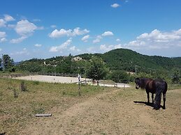 Agriturismo Piccola Raieda