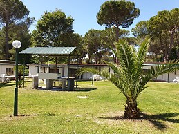 Camping Aurelia Club