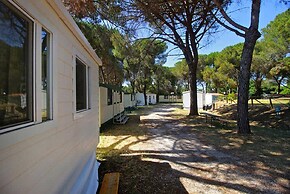 Camping Aurelia Club