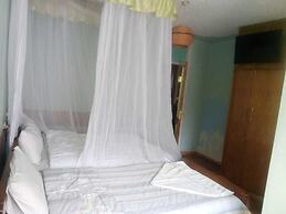 Hotel Eel