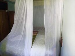 Hotel Eel