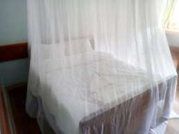 Hotel Eel