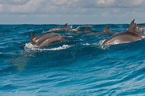 Kwale Golden Guest House