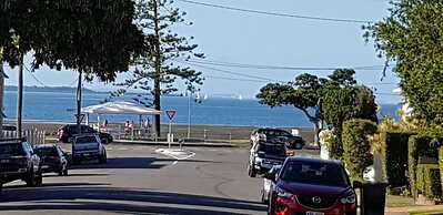 Cedar Lookout