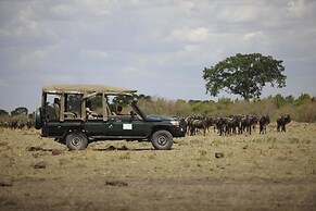 Ngerende in the Wild Riverview