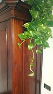 Bed & Breakfast Cascina Bellezza