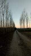 Bed & Breakfast Cascina Bellezza