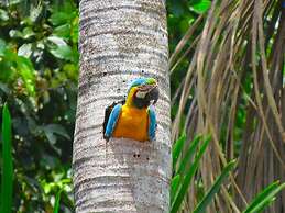 Tambopata Ecolodge