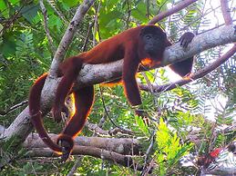 Tambopata Ecolodge