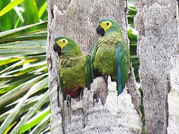Tambopata Ecolodge