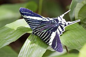 Tambopata Ecolodge