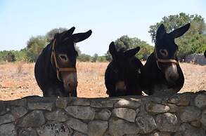Tenuta Deserto