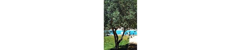 Tenuta Deserto