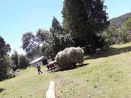 Cabaña Corral Rio Puelo
