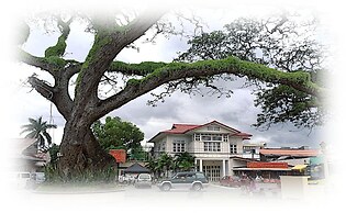 Mahi Mahi Dive Resort