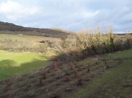 Aux vignes