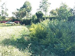 Mount Elgon Guest House