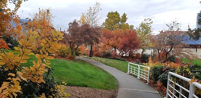 Lake View House