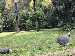Daintree Manor Bed & Breakfast