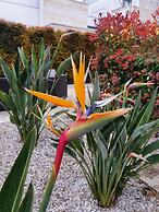 Il Giardino di Flora