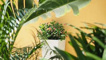 Hotel Casa Cytia