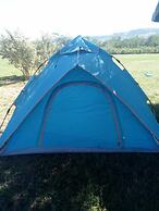 Duara Flamingo Camp