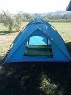 Duara Flamingo Camp