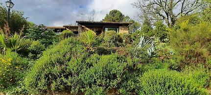 Apartamentos El Roble