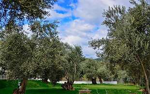 Elaia Thermal & Spa Hotel