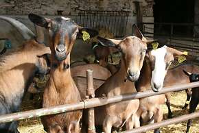 Ferme de la Vallière