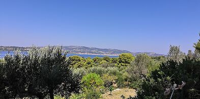 Seapine Studios
