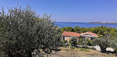 Seapine Studios