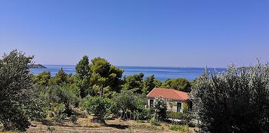 Seapine Studios
