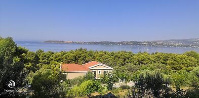 Seapine Studios