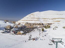 MzaarViews Chalets