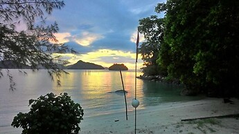 Wild Pasir Panjang