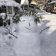 Nikko Ikoi Hotel