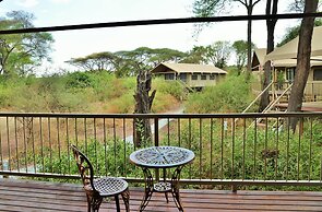 Jackalberry Chobe