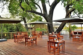 Jackalberry Chobe