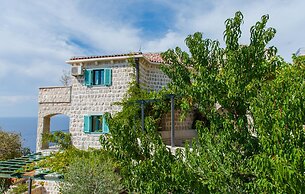 Olive Resort