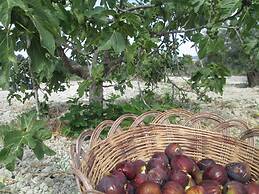 Agriturismo Donna Beatrice
