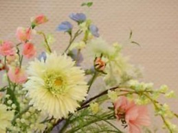 Les Belles Dormantes