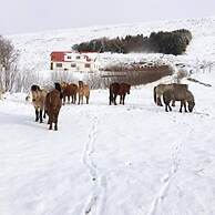 Öndólfsstaðir Farm B&B
