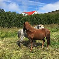 Öndólfsstaðir Farm B&B