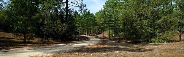 Camping Le Bois Verdon