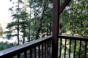 Black Bear Cottage